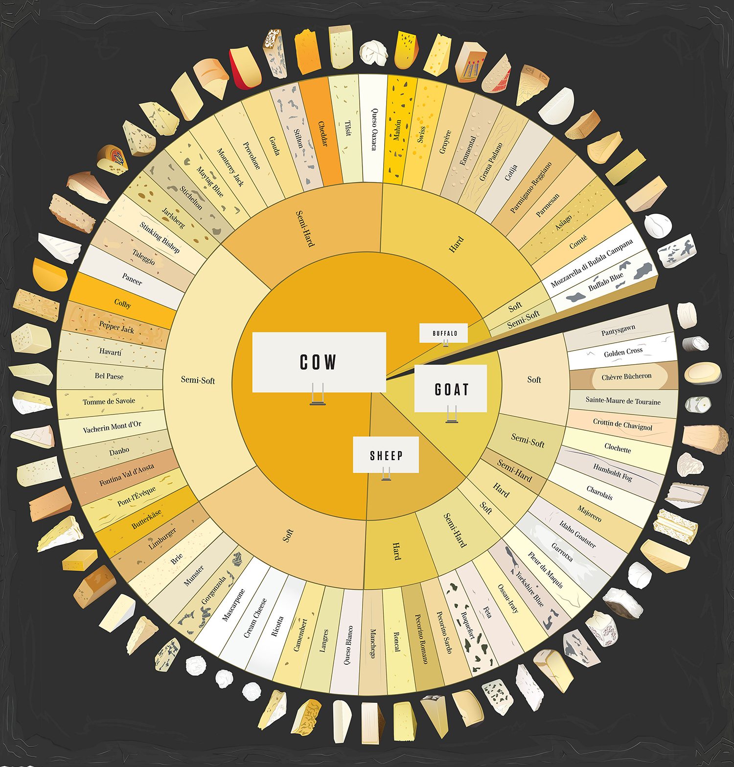 Cheese infographics
