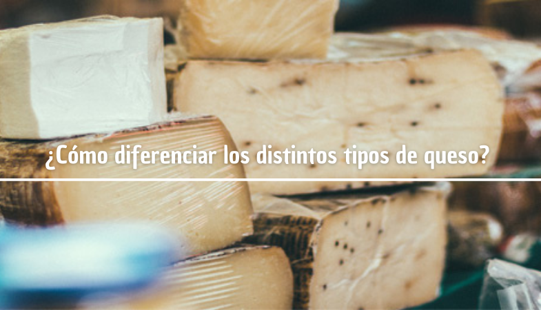 ¿Cómo diferenciar los distintos tipos de queso