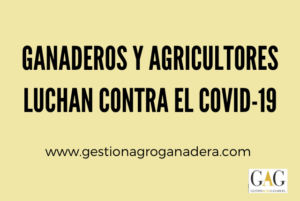 Juntos, saldremos de esta