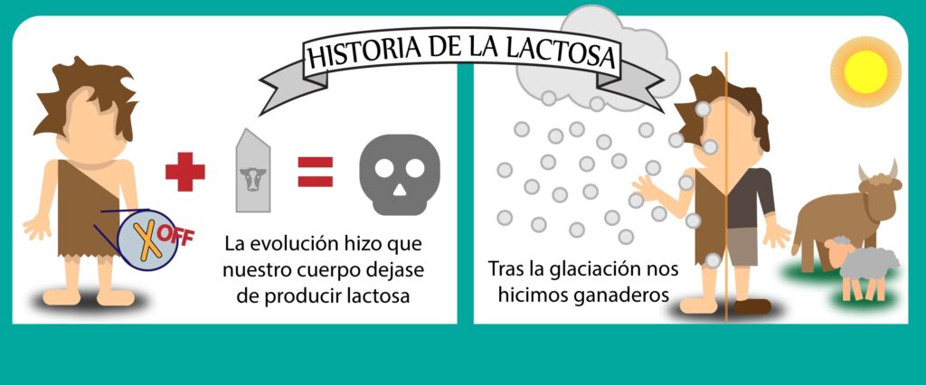 historia lactosa