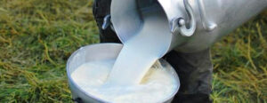 leche cruda 4