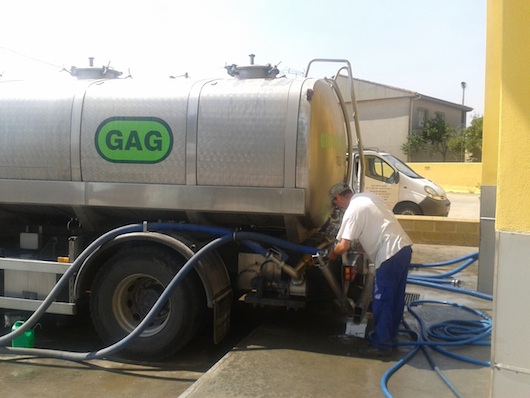 Descarga de leche de oveja en Quesería La Antigua