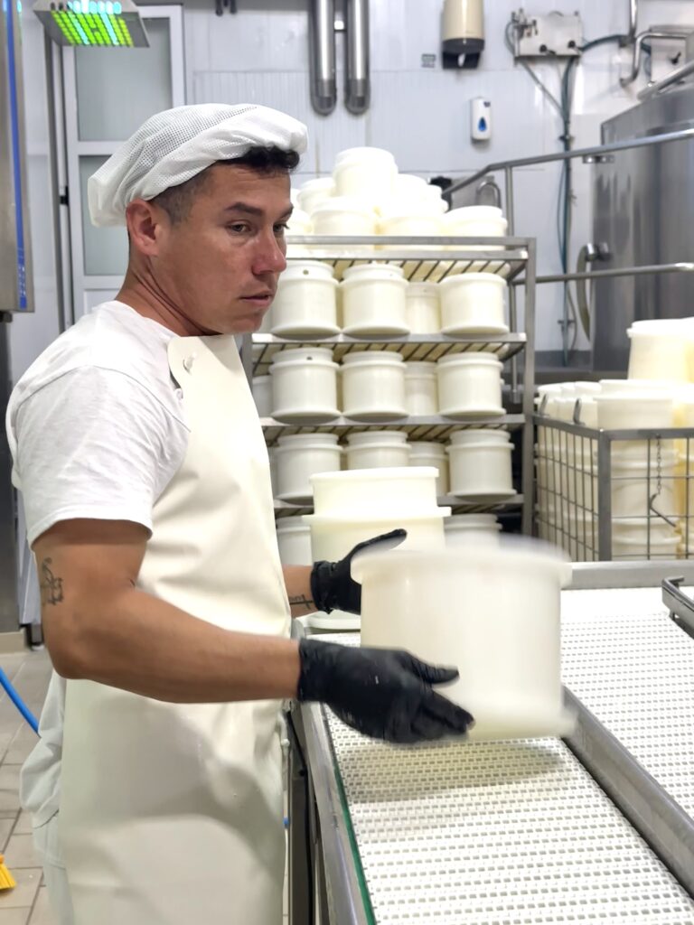 Alimentos fermentados: por qué el queso es un probiótico natural de 10 1 chico fabricando queso fermento leche probiotico