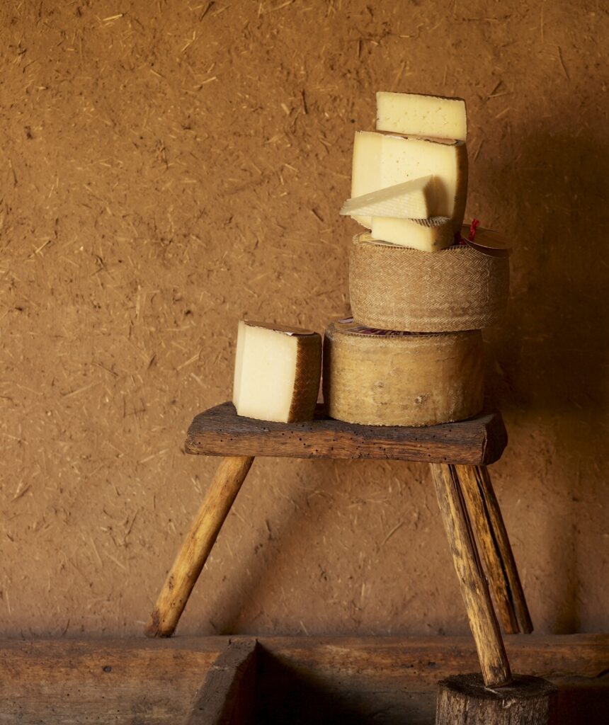 Alimentos fermentados: por qué el queso es un probiótico natural de 10 2 quesos fermentados probiótico