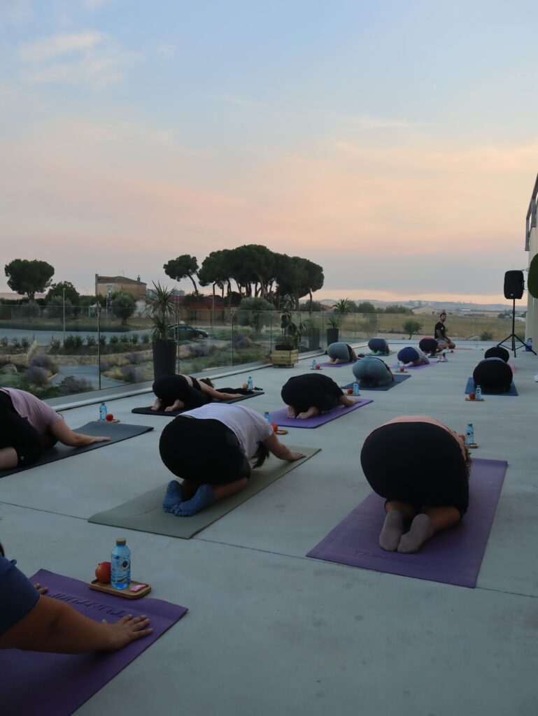 Pilates & Cheese Club en La Antigua: bienestar, sonrisas y mucho queso irresistible 3 Pilates & Cheese Club en La Antigua