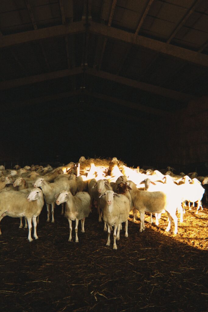 Bernardo Ríos, Reconocimiento COBADU a una vida de compromiso rural